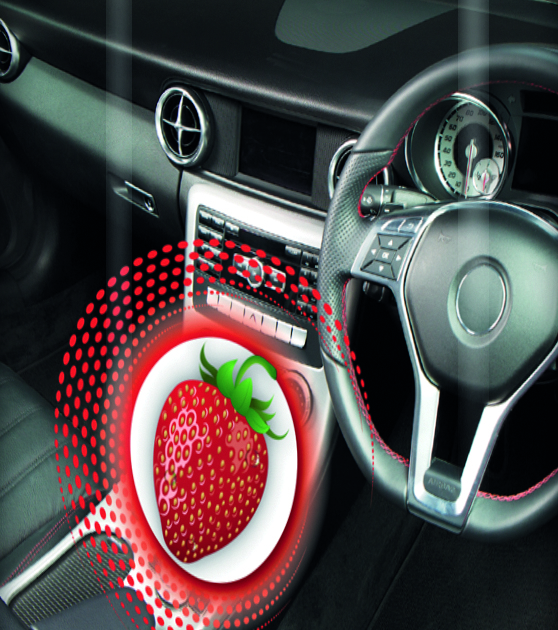 Turtle Wax Fresh Shine Cockpitspray "Strawberry"   